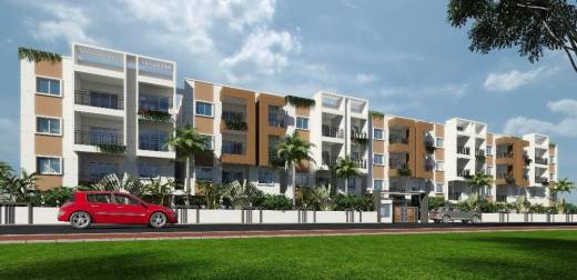 dsr-star-light Elevation Elevation