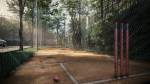  cosmos Cricket Pitch
