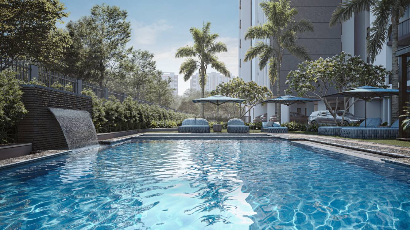  cosmos Swimming Pool