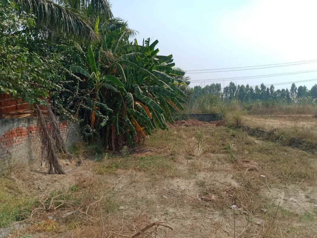  wave plot knowledge park 2 Plot