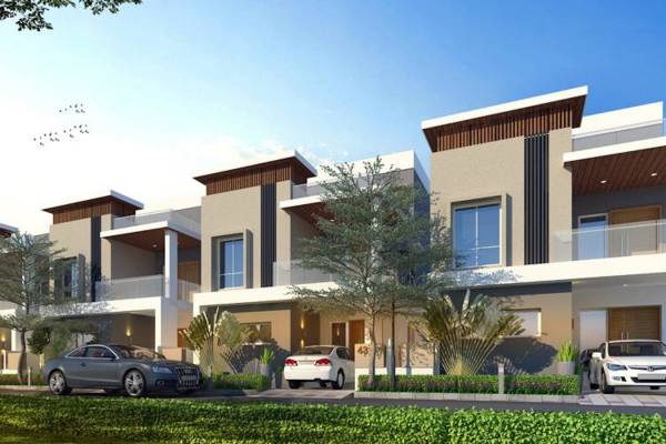  madhava-nest Elevation