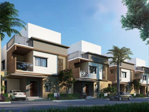  nature-city Elevation