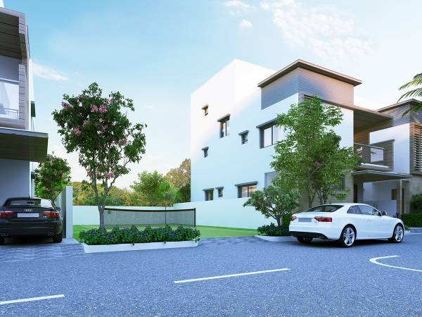  nature-city Elevation