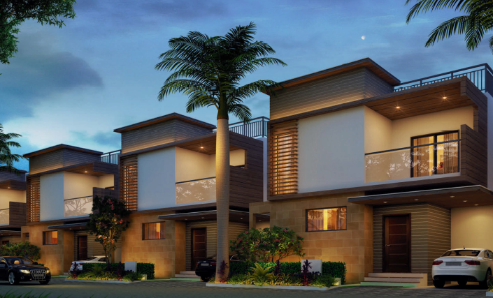  nature city Elevation