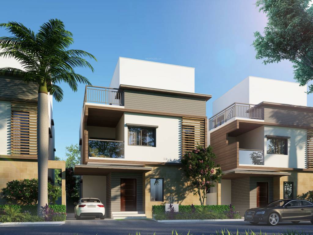  nature city Elevation