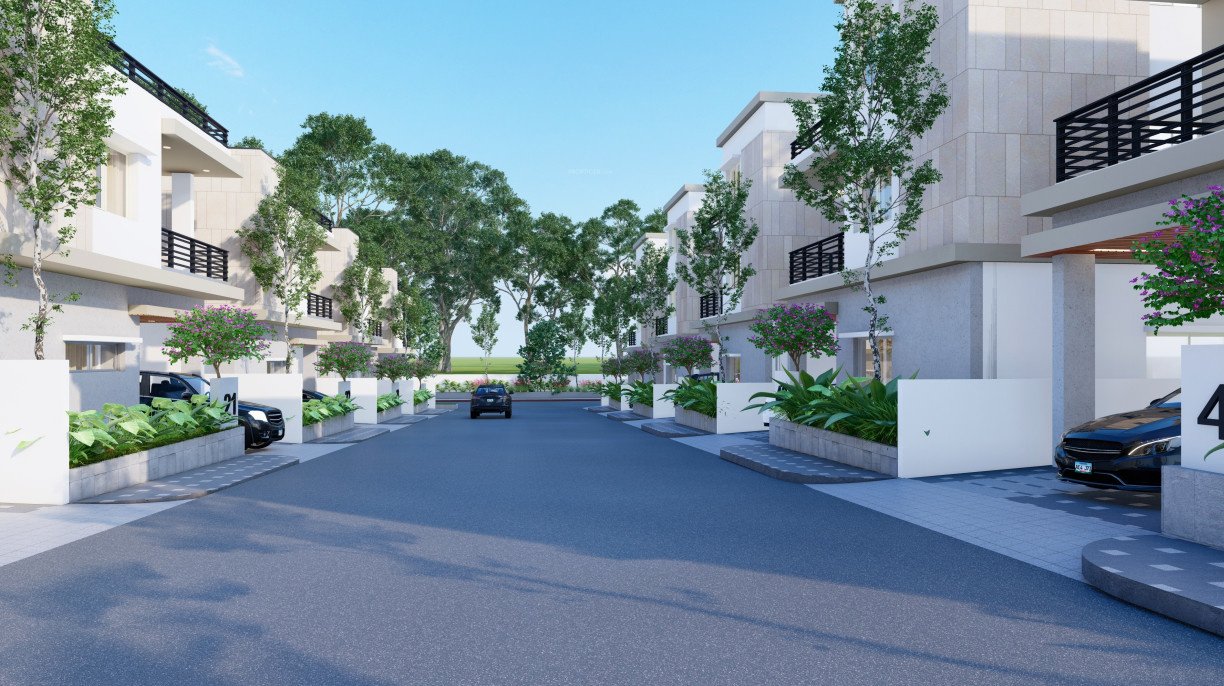  noma aalaya enclave Others