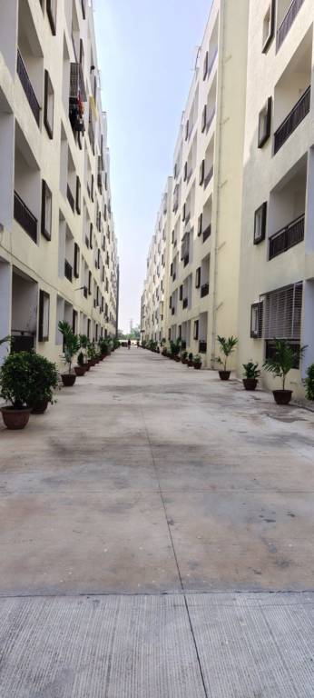  homes Internal Roads & Footpaths