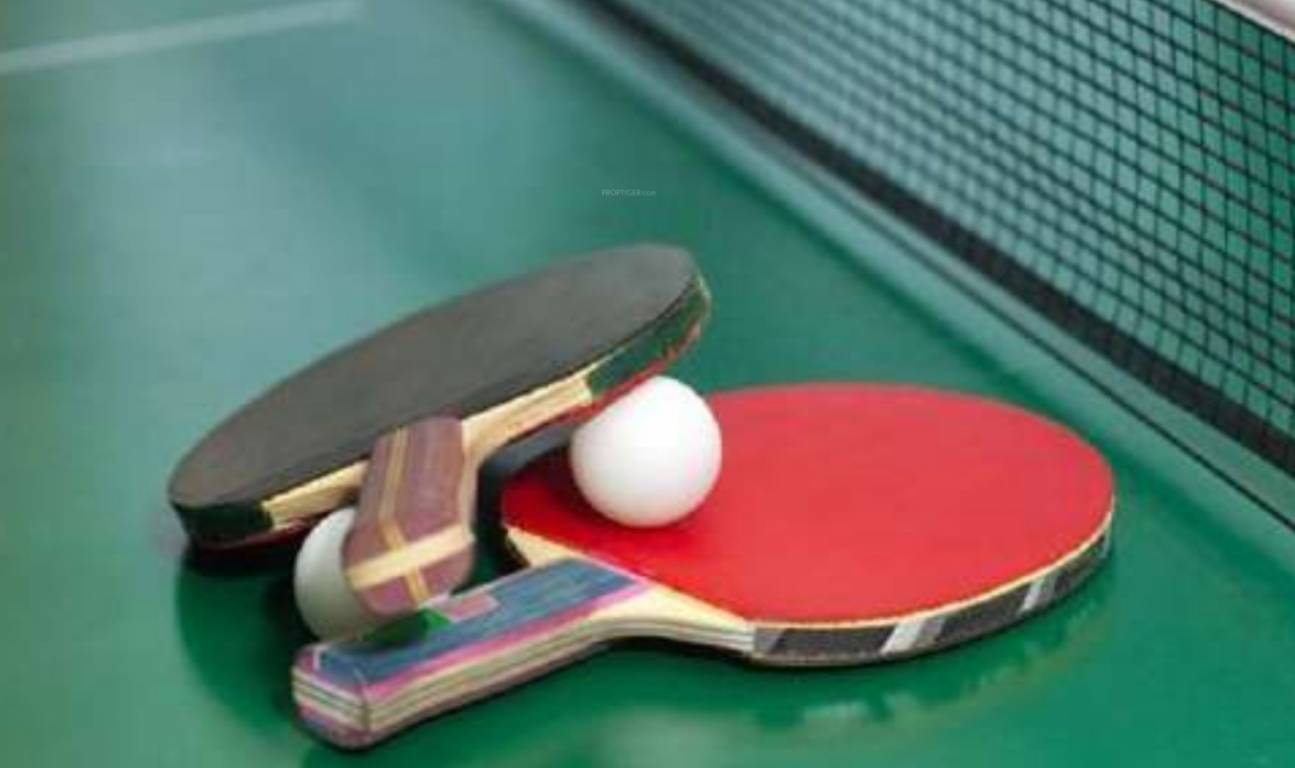  orchids Table Tennis