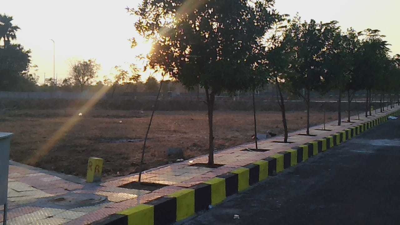  sparkle nestila Plot