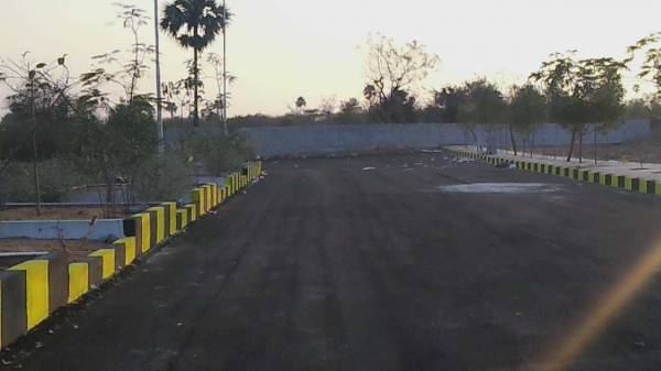  sparkle-nestila Plot