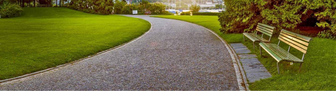  serene park Landscape Garden and Tree Planting