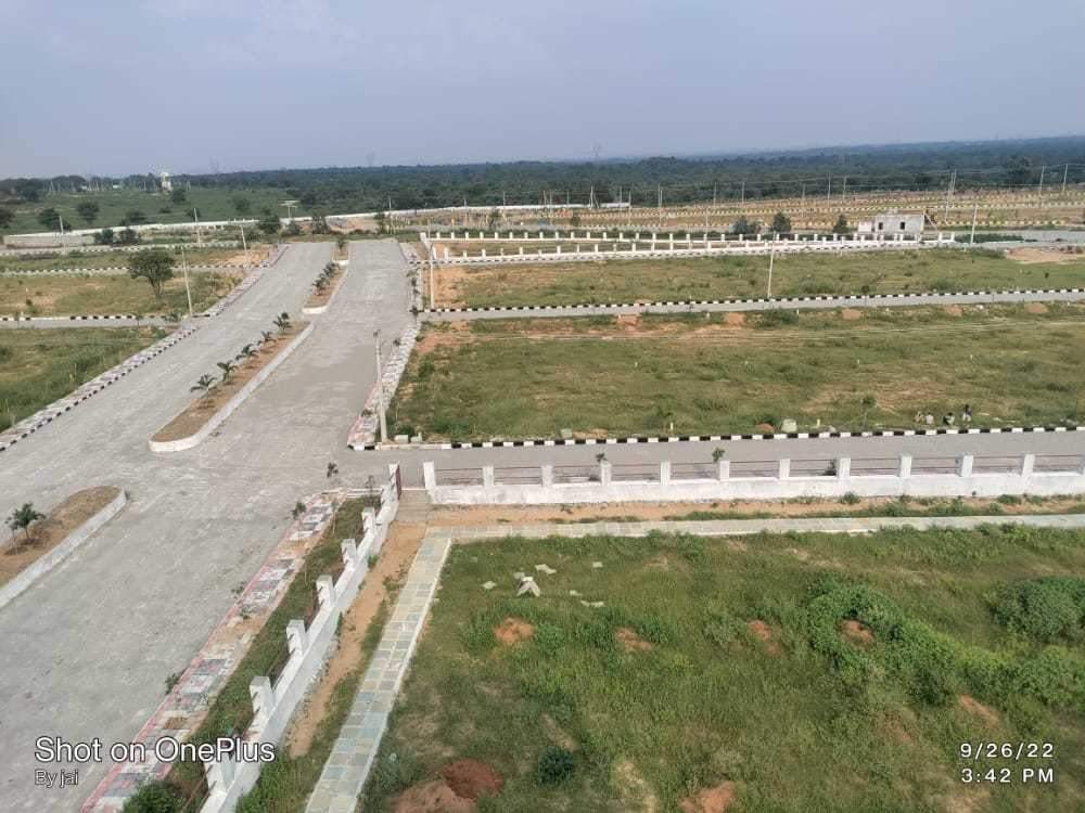  grand dale Plot