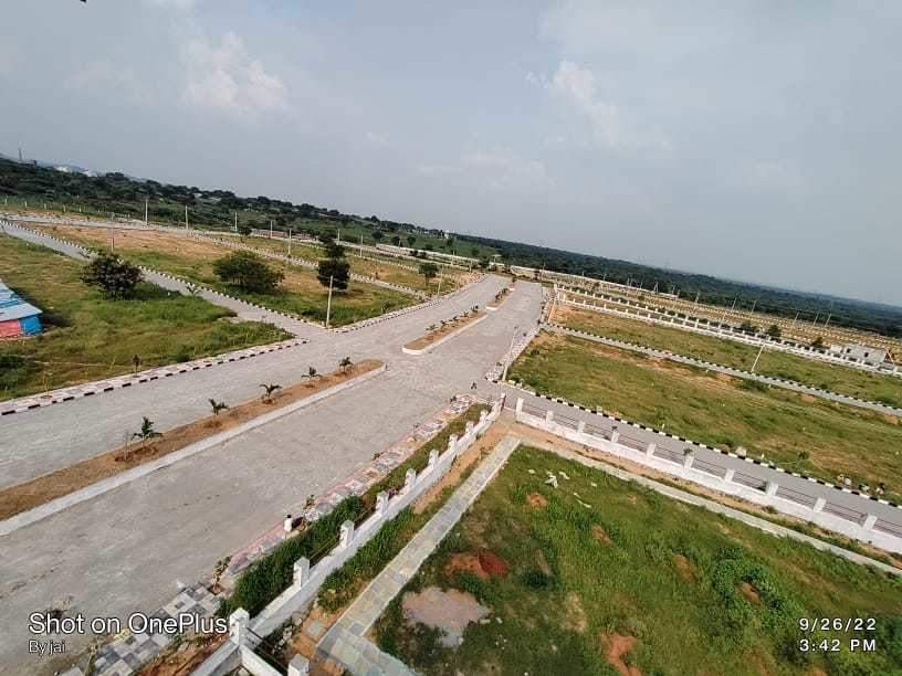  grand dale Plot