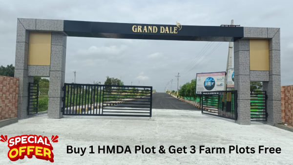  grand-dale Plot
