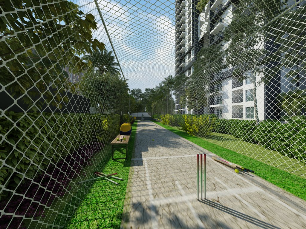  candeur 40 Cricket Pitch