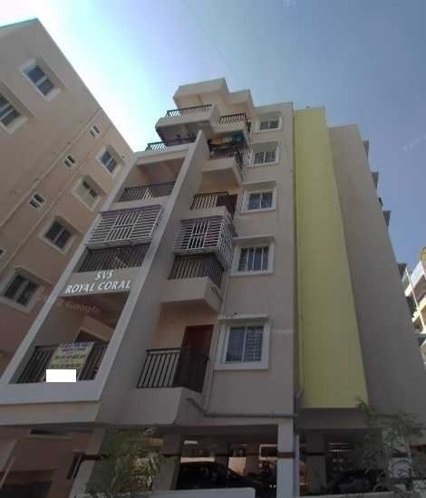  royal-coral Elevation