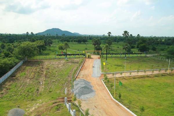  nature-ville-ii Plot