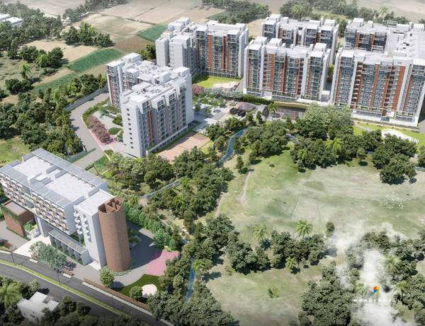  wonderwall Elevation