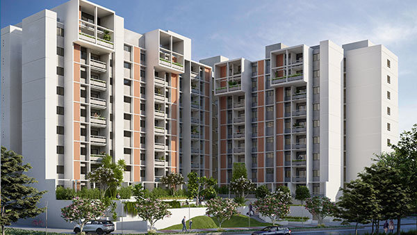  wonderwall Elevation