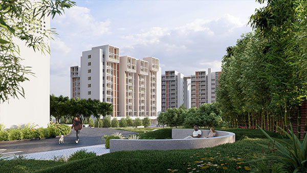  wonderwall Elevation