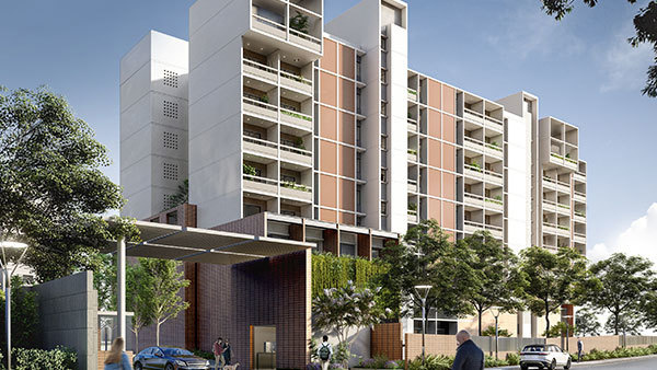  wonderwall Elevation