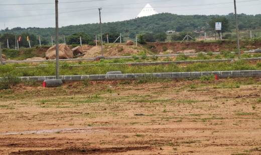 fortune-pharma Elevation Elevation