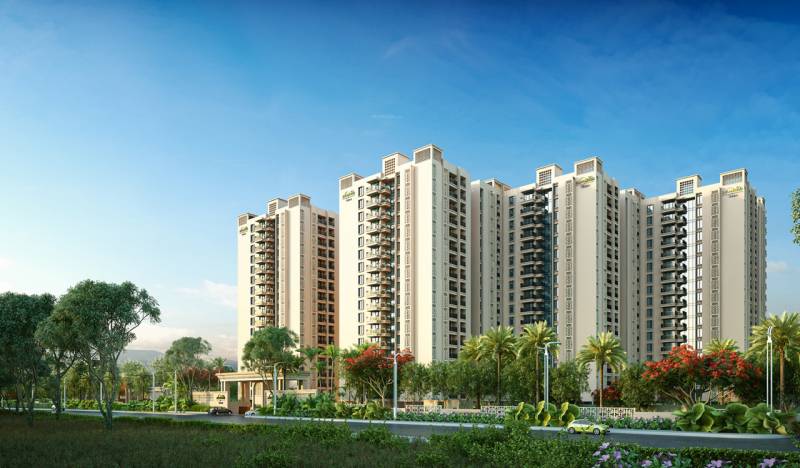  zahara Elevation