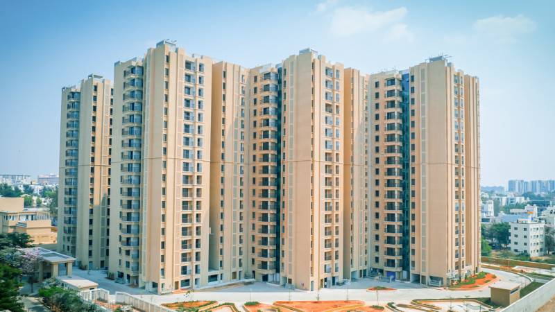  zahara Elevation