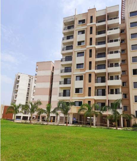 jewel o Landscape Garden and Tree Planting