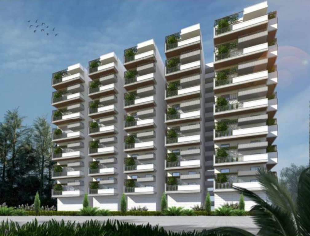  the drizzle Elevation