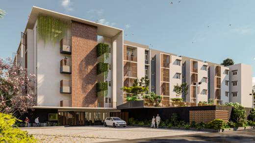 soul-tree Elevation Elevation