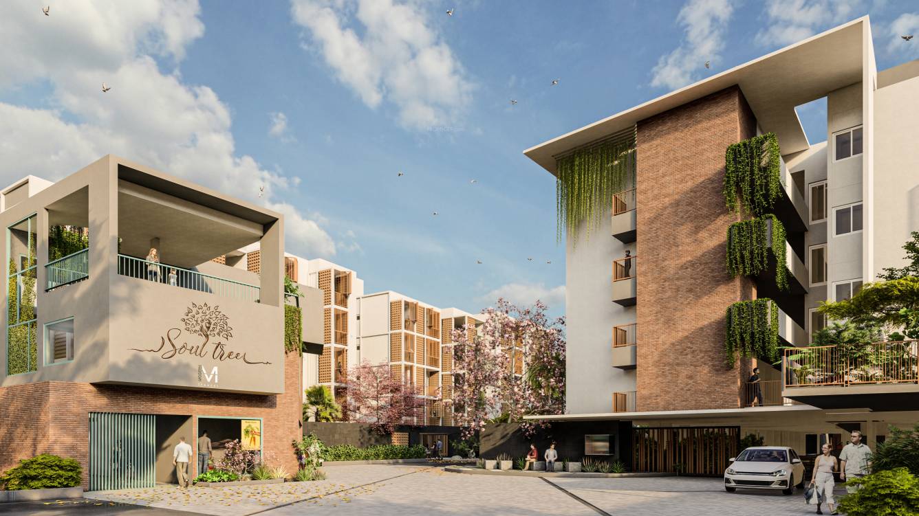  soul tree serinity Elevation