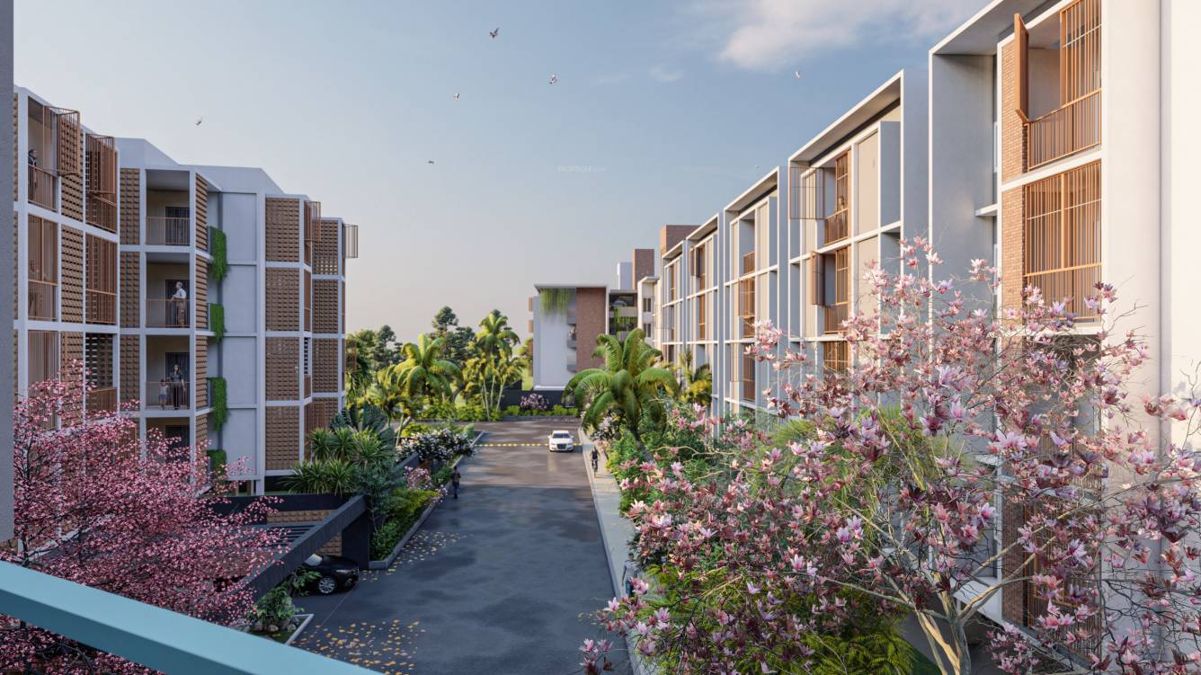  soul tree serinity Elevation