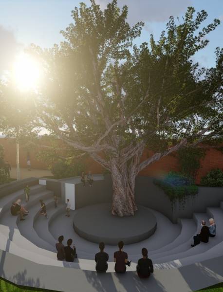 amenities of Soul Tree