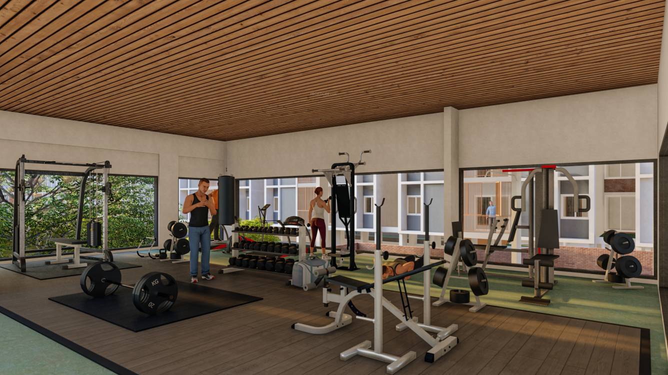  soul tree serinity Gymnasium