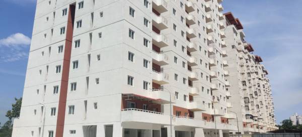  galaxy-tower-of-the-gem-grove Elevation