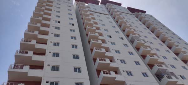  galaxy-tower-of-the-gem-grove Elevation