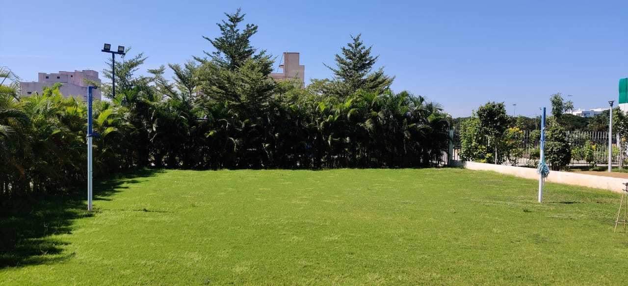  galaxy tower of the gem grove Landscaping & Tree Planting