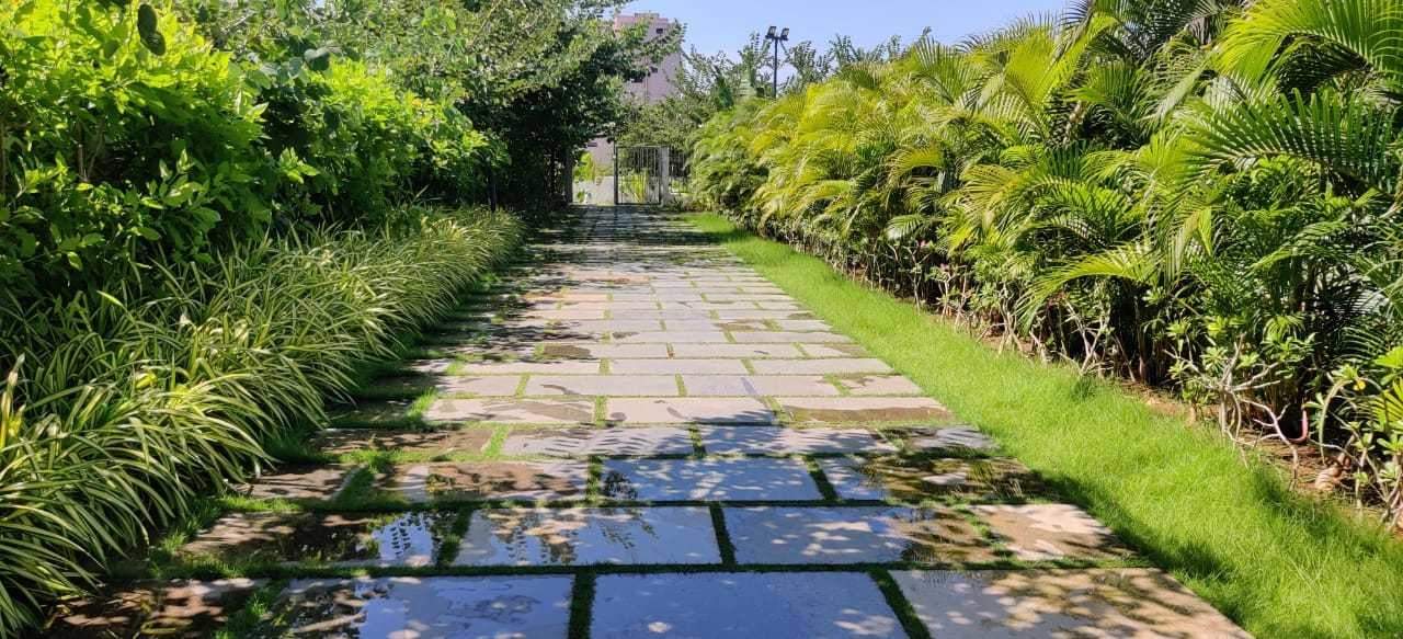  galaxy tower of the gem grove Landscaping & Tree Planting