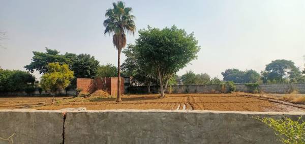 Plot surya-chaman-enclave-plots Plot