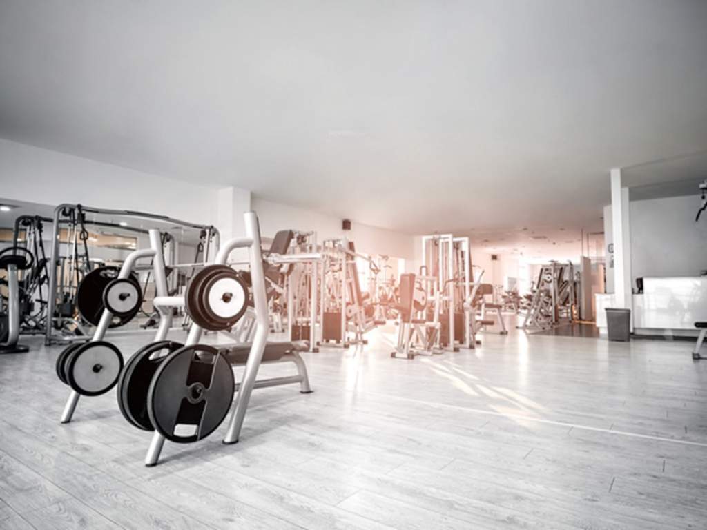  kalpataru vienta Gymnasium