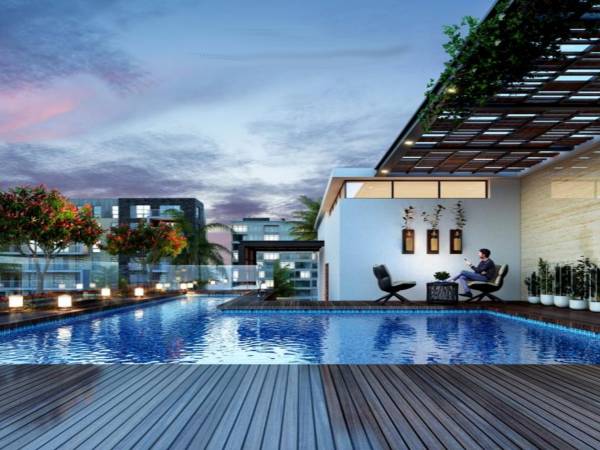  luxabay Swimming Pool