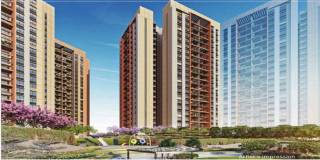  sensorium-phase-iv Elevation