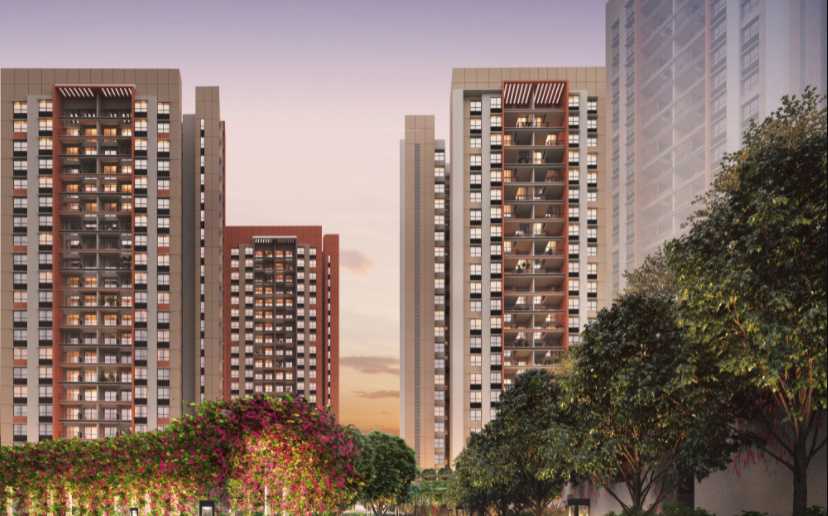 sensorium phase v Elevation