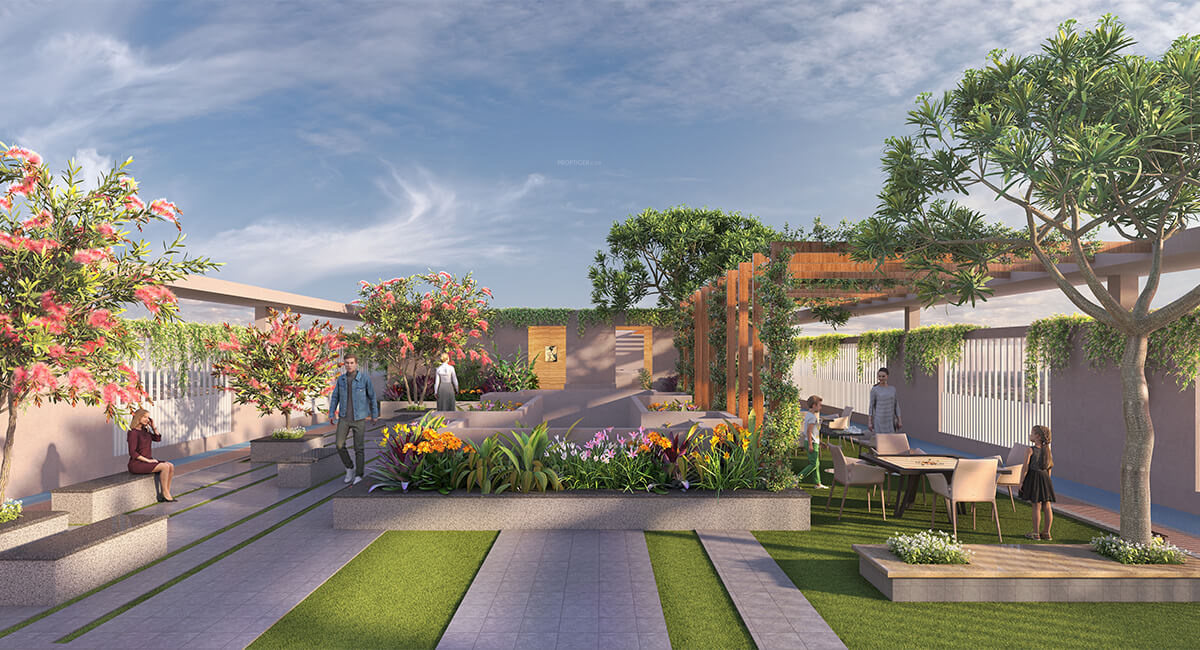  pacific Terrace Garden