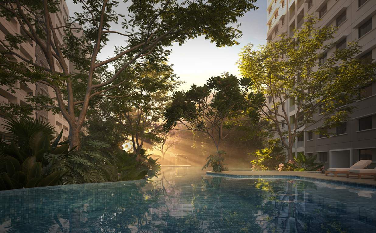  dream acres tropical greens phase 24 wing 29 and 30 Swimming Pool