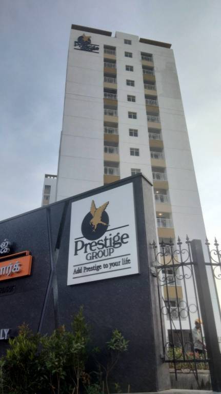 windsor park Elevation