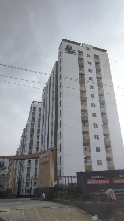 windsor park Elevation