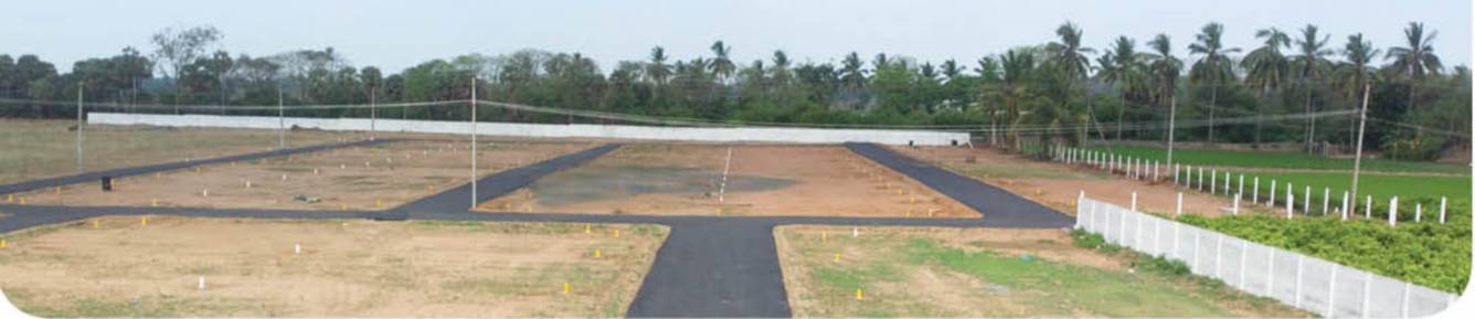  collector nagar Plot