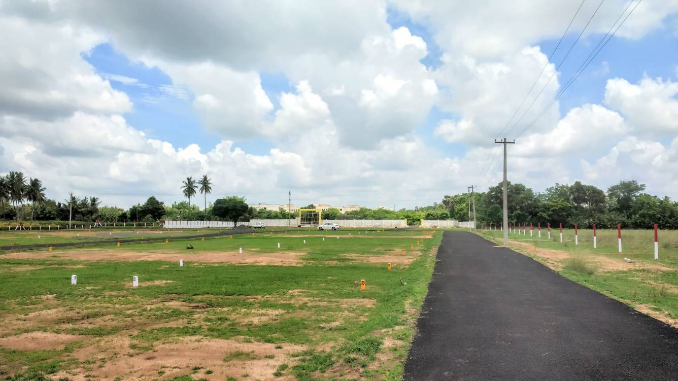  collector nagar Plot